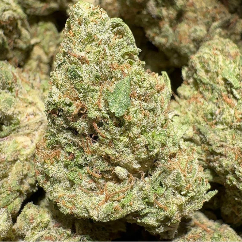 Triple G (Indica)