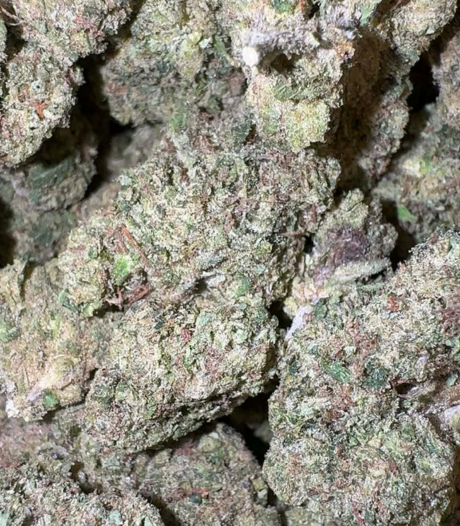 Blue Lychee (Hybrid)