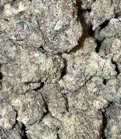 Sour Gorilla (Hybrid)