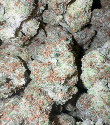 Mad Fruit  (Hybrid)