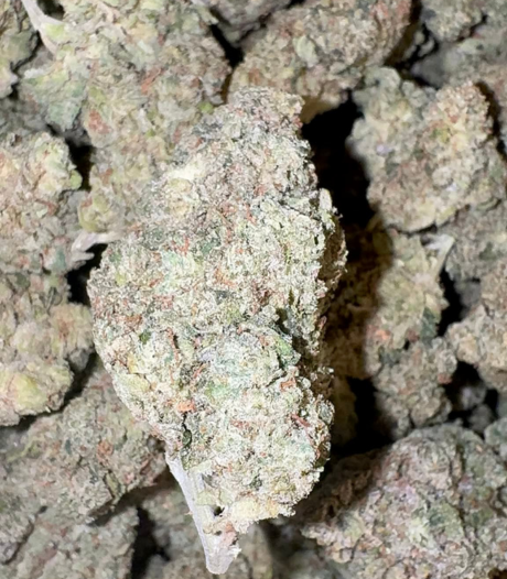 Lemon Diesel (Hybrid)