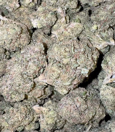 Candy Paint (Hybrid)