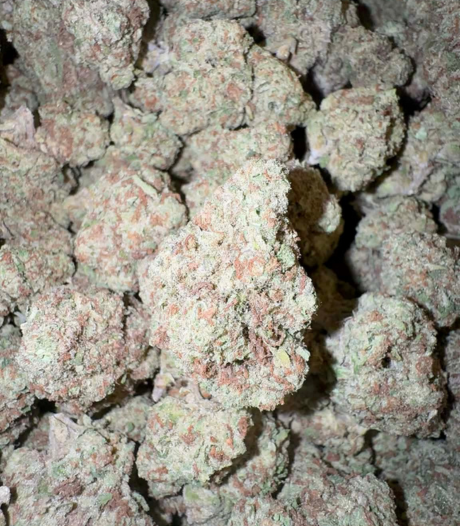 Strawberry MAC (Hybrid)