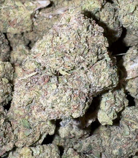 Blueberry Candy (Hybrid)