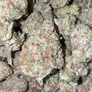 Strawberry Fields (Hybrid)