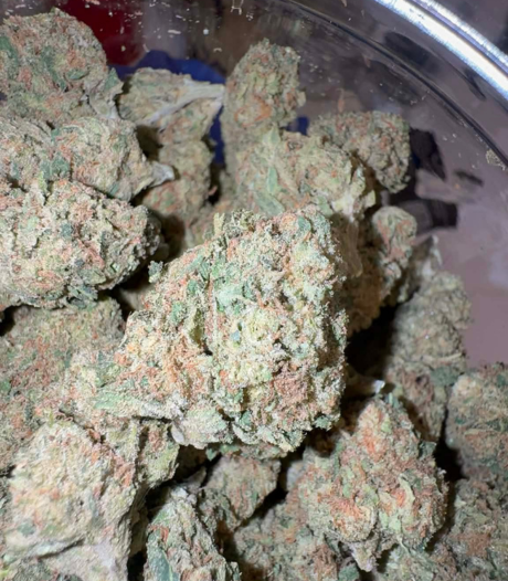 Crème Brûlée (Hybrid)