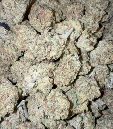 Cherry Pie (Hybrid)