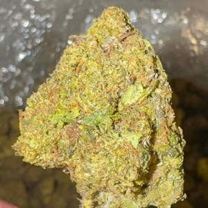 Blueberry Candy (Hybrid)