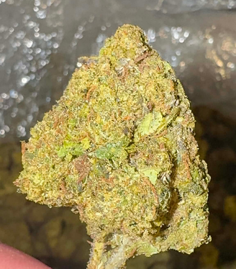 Blueberry Candy (Hybrid)