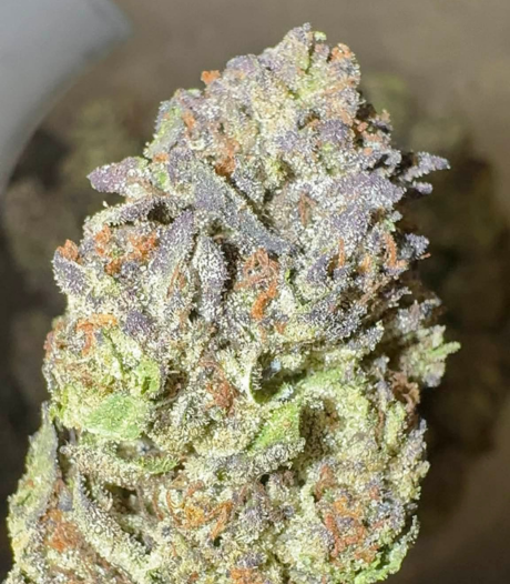 Cherry Cake (Hybrid)