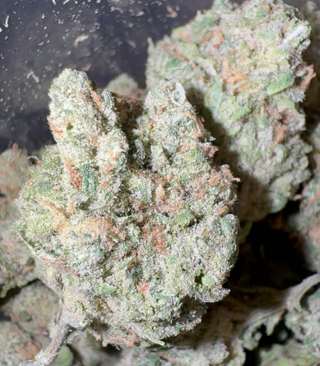 Blue Dream (Sativa)