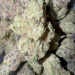 Chevron Runtz  (Hybrid)