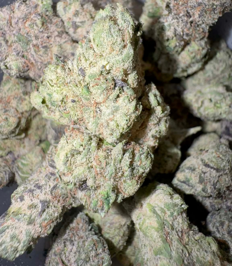 Chevron Runtz  (Hybrid)