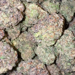 Cherry Lemon Layover (Hybrid)