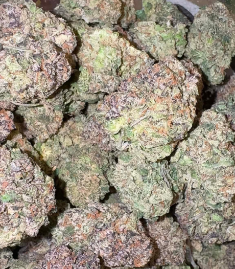 Cherry Lemon Layover (Hybrid)