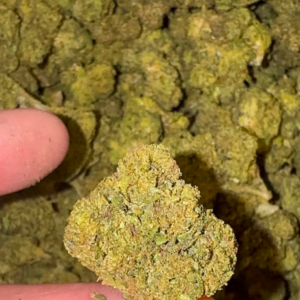 Green Lantern  (Hybrid)