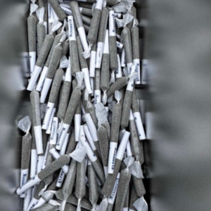 10 × 0.5g Infused Pre-Rolls ✈️🔥