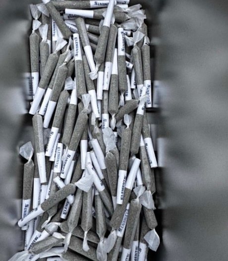 10 × 0.5g Infused Pre-Rolls ✈️🔥