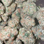Warhead (Sativa)