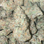 Cookies & Cream (Indica)