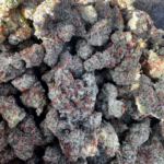 Frosted Madness (Hybrid)