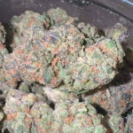 Grapple Pie (Hybrid)