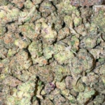 Gas Face Smalls (Indica)
