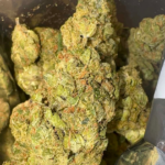 Lemon Poppers (Hybrid)