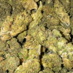 Super Haze (Sativa)