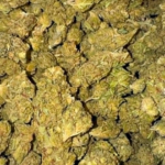Chem (Hybrid)