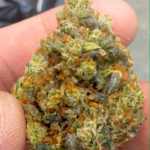 Sour Diesel (Sativa)