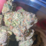 Green Apple Runtz (Sativa)