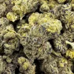 Purple Cherry Popper (Indica)