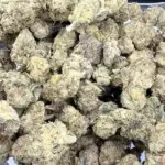 Airheadz (Indica)