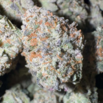 Dirty Diana (Indica) GASSY
